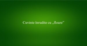 Cuvinte înrudite cu „floare”