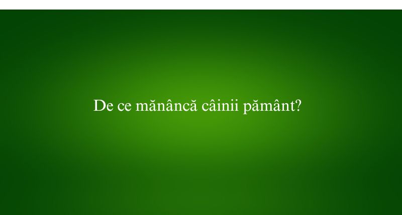 De ce mănâncă câinii pământ