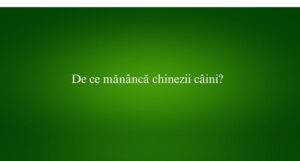 De ce mănâncă chinezii câini