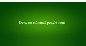 De ce nu mănâncă peștele beta