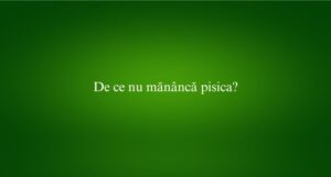 De ce nu mănâncă pisica