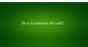 De ce te mănâncă sfârcurile
