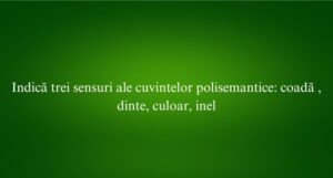 Indică trei sensuri ale cuvintelor polisemantice coadă , dinte, culoar, inel​