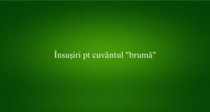 Însușiri pt cuvântul brumă