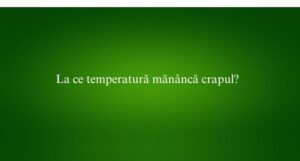 La ce temperatură mănâncă crapul