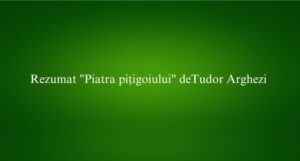 Rezumat ​Piatra pițigoiului deTudor Arghezi​