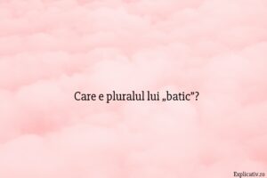 Care e pluralul lui „batic”