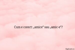 Cum e corect „amice” sau „amic-e”