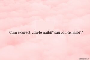 Cum e corect „du-te naibii” sau „du-te naibi”