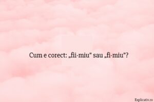 Cum e corect „fii-miu” sau „fi-miu”