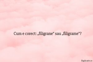 Cum e corect „filigrane” sau „filigrame”
