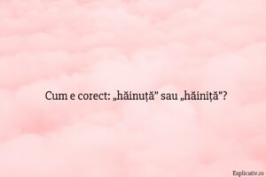 Cum e corect „hăinuță” sau „hăiniță”