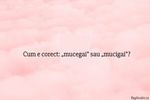 Cum e corect „mucegai” sau „mucigai”