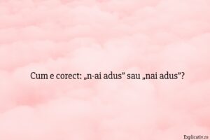 Cum e corect „n-ai adus” sau „nai adus”