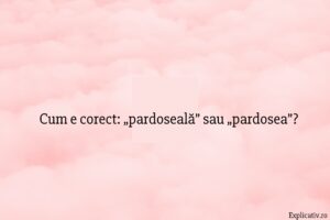 Cum e corect „pardoseală” sau „pardosea”