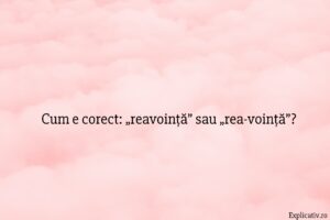 Cum e corect „reavoință” sau „rea-voință”