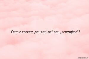 Cum e corect „scuzați-ne” sau „scuzaține”
