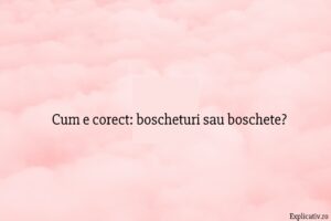 Cum e corect boscheturi sau boschete