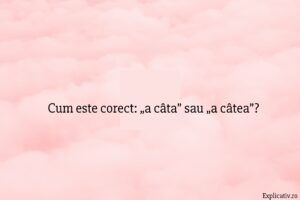 Cum este corect „a câta” sau „a câtea”