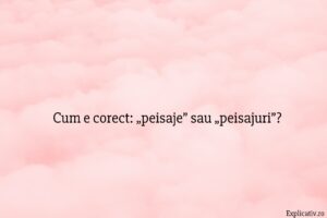 Cum e corect „peisaje” sau „peisajuri”
