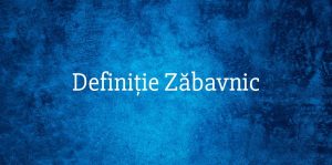 Definiție Zăbavnic