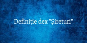 Definiție dex Șireturi