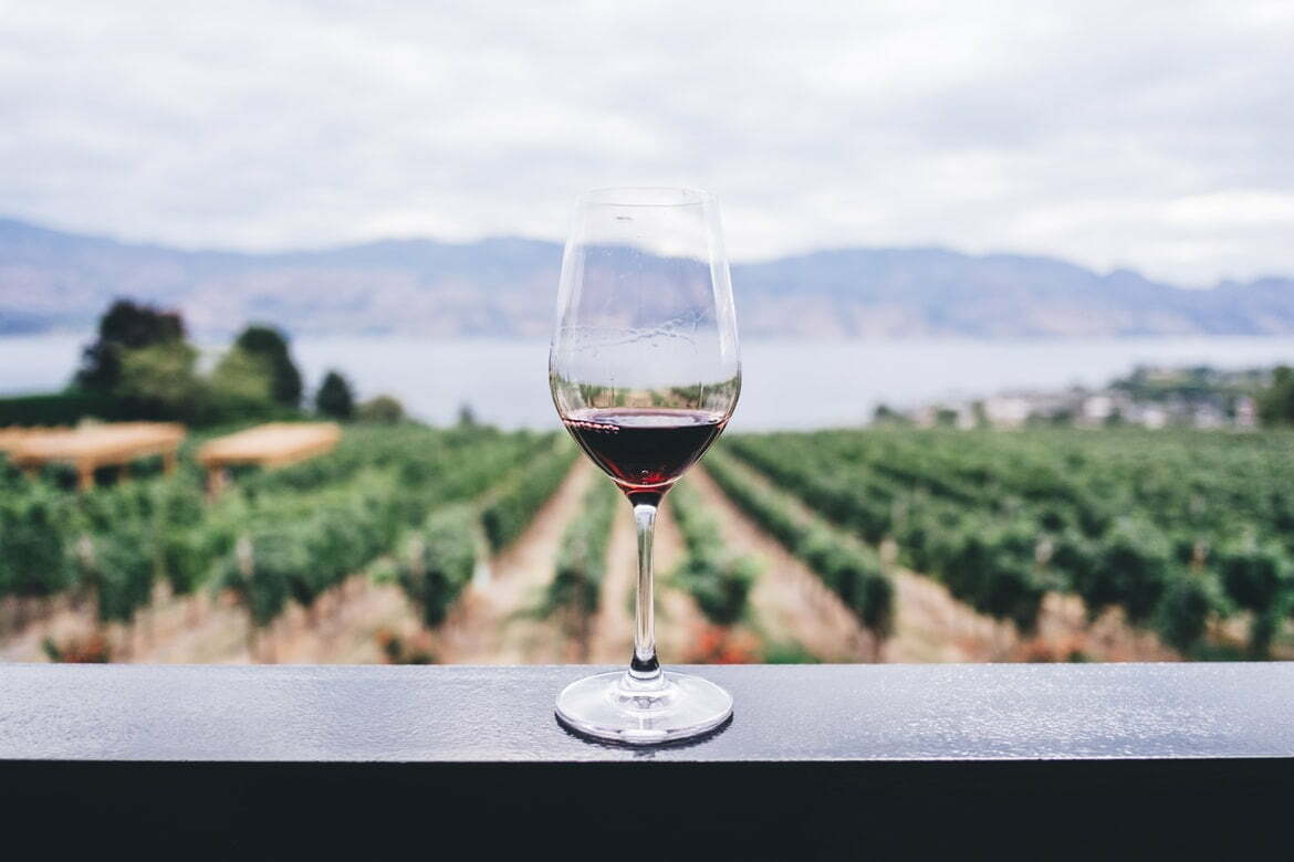 tot ce trebuie sa stim despre vin