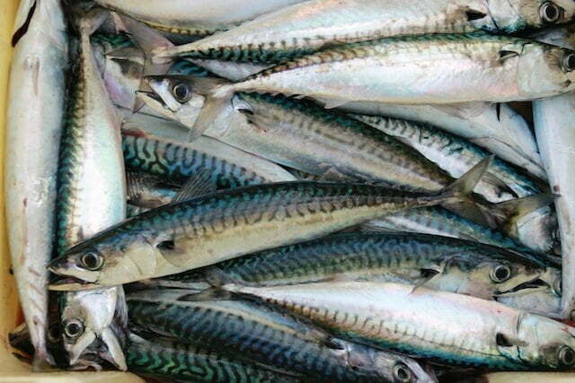 Cate calorii are 100g de macrou