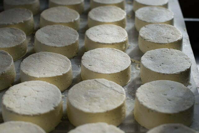 Cate calorii are casul de vaca