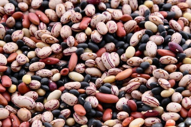 Cate calorii are fasolea