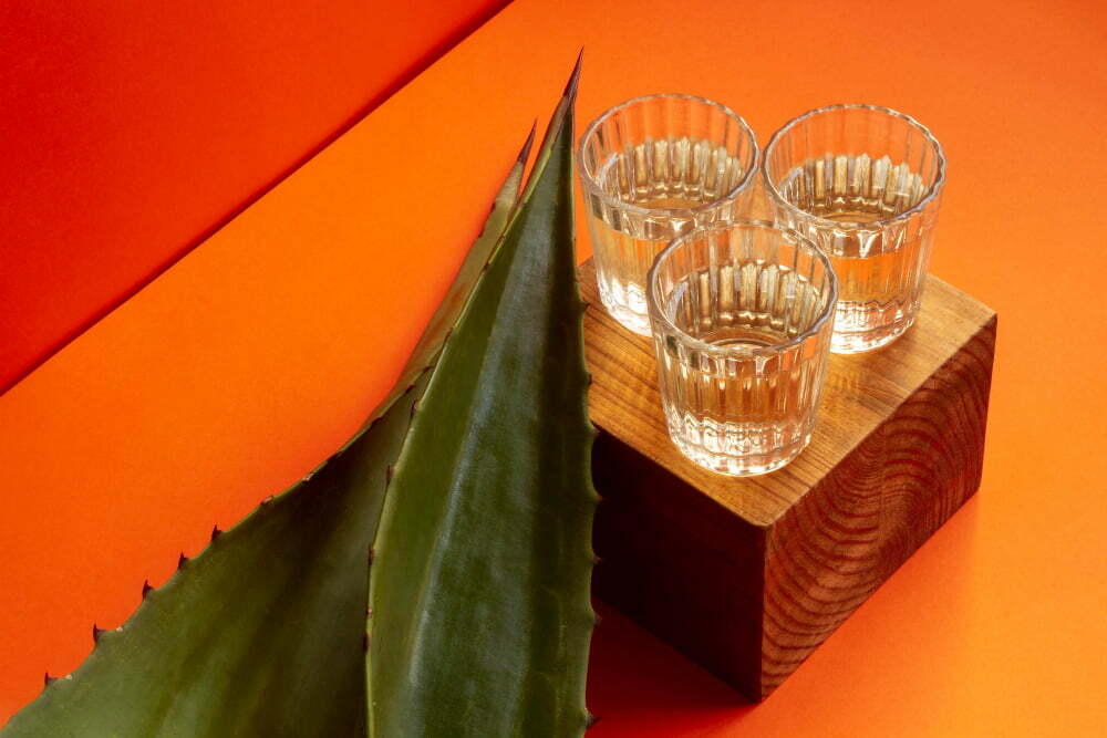 Ce este Siropul de agave