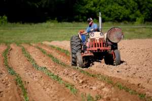 Cum sa alegi un model de tractor bun pentru nevoile tale