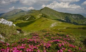 Care sunt atracțiile turistice din Maramureș?