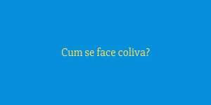 Cum se face coliva