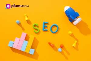 publicare advertoriale seo Plum Media