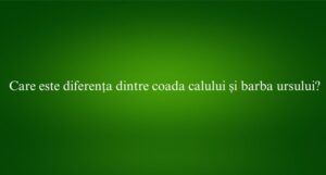 Care este diferența dintre coada calului și barba ursului
