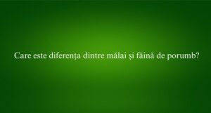 Care este diferența dintre mălai și făină de porumb