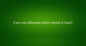 Care este diferența dintre mentă și izmă