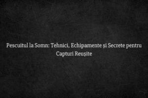 Pescuitul la Somn Tehnici, Echipamente și Secrete pentru Capturi Reușite