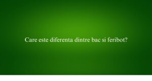 Care este diferenta dintre bac si feribot?