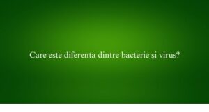 Care este diferenta dintre bacterie și virus