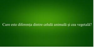 Află de la specialiștii Explicativ.ro, ✨ Care este diferența dintre celulă animală și cea vegetală și nu poți da greș niciodată.