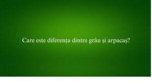 Care este diferența dintre gr&acirc;u și arpacaș