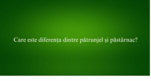 Care este diferența dintre pătrunjel și păst&acirc;rnac
