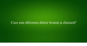 Care este diferenta dintre brumă și chiciură