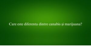Care este diferenta dintre canabis și marijuana