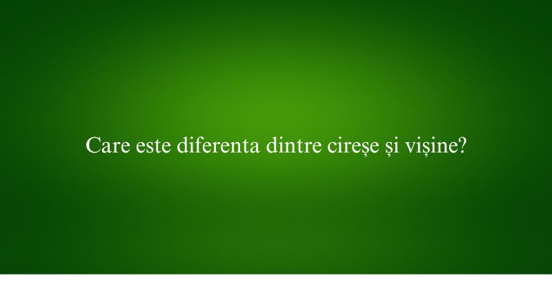 Care este diferenta dintre cireșe și vișine