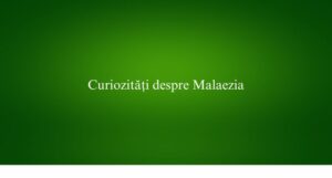 Curiozități despre Malaezia