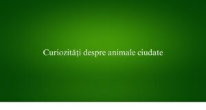 Curiozități despre animale ciudate