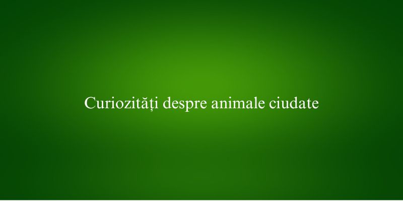 Curiozități despre animale ciudate